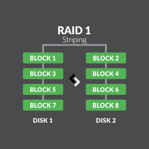 raid-1